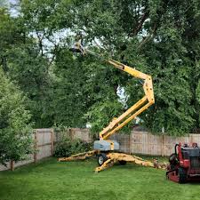 Best Seasonal Cleanup (Spring/Fall)  in New Johnsonville, TN