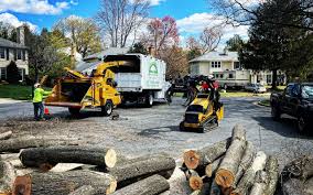 Best Lawn Mowing  in New Johnsonville, TN