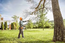 Best Storm Damage Tree Cleanup  in New Johnsonville, TN