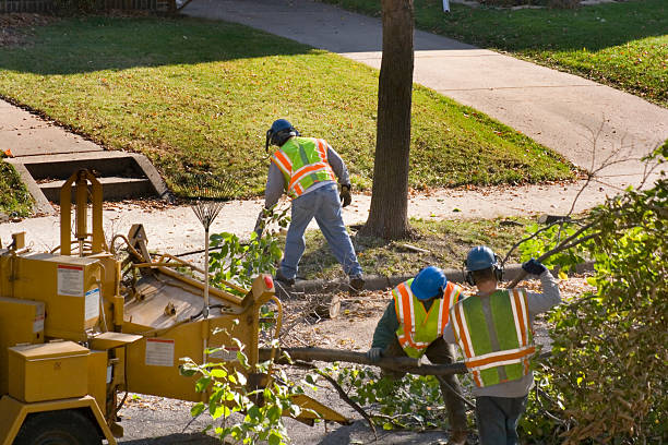 Best Tree Mulching  in New Johnsonville, TN