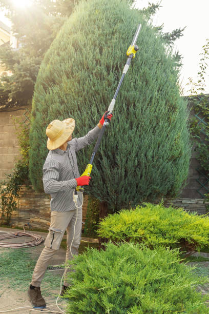 Best Pest Control for Lawns  in New Johnsonville, TN