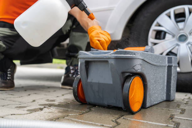 Best Organic Lawn Care Solutions  in New Johnsonville, TN